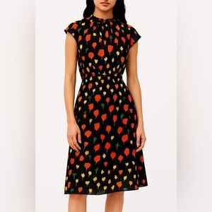 NWOT Banana Republic Floral Dress - Size 2